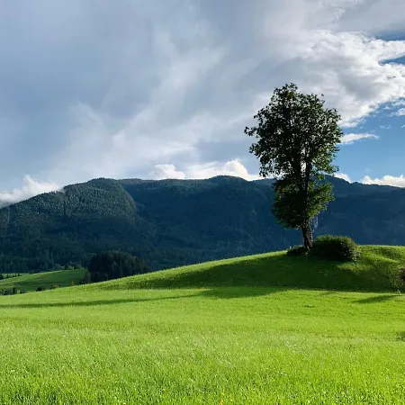 Casa de hóspedes Ausseerhaus Im Gruenen 3*