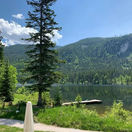 Ausseerhaus Im Gruenen Гостевой дом 3*