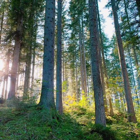 Ausseerhaus Im Gruenen Casa de hóspedes 3*