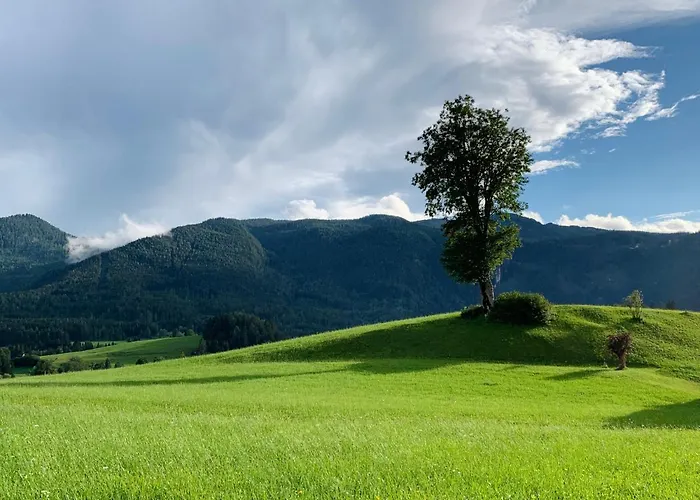Pensionat Ausseerhaus Im Gruenen 3*