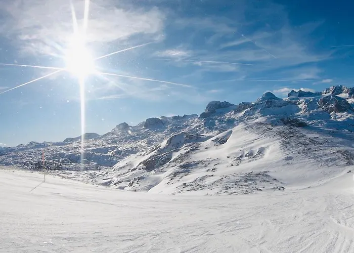 Ausseerhaus Im Gruenen 招待所