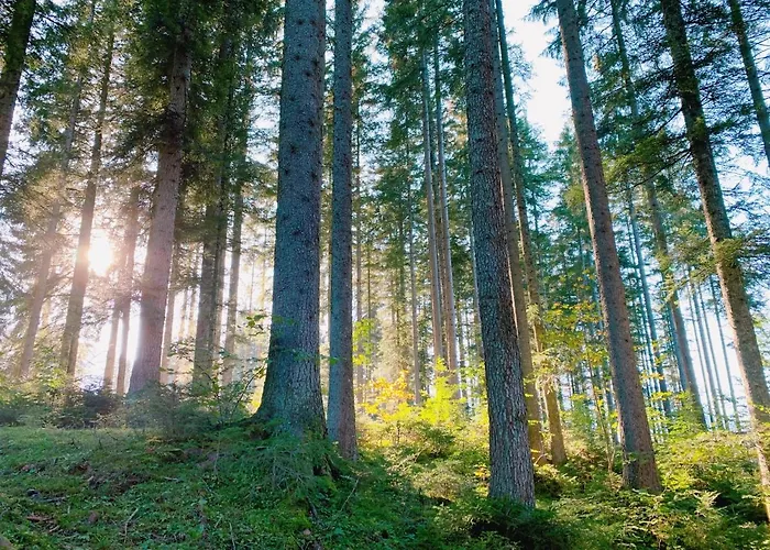 Ausseerhaus Im Gruenen Pensionat 3*